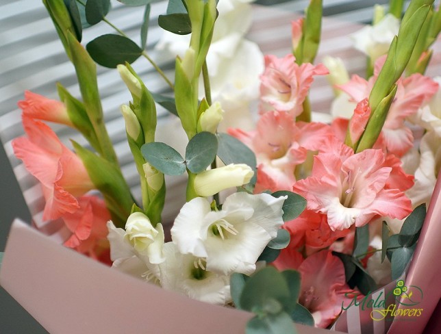 Bouquet of White and Pink Gladiolus photo